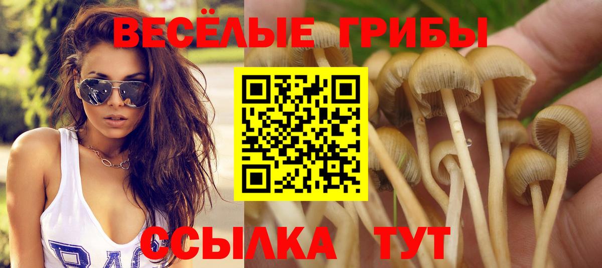 Псилоцибиновые грибы мухоморы Ирбит