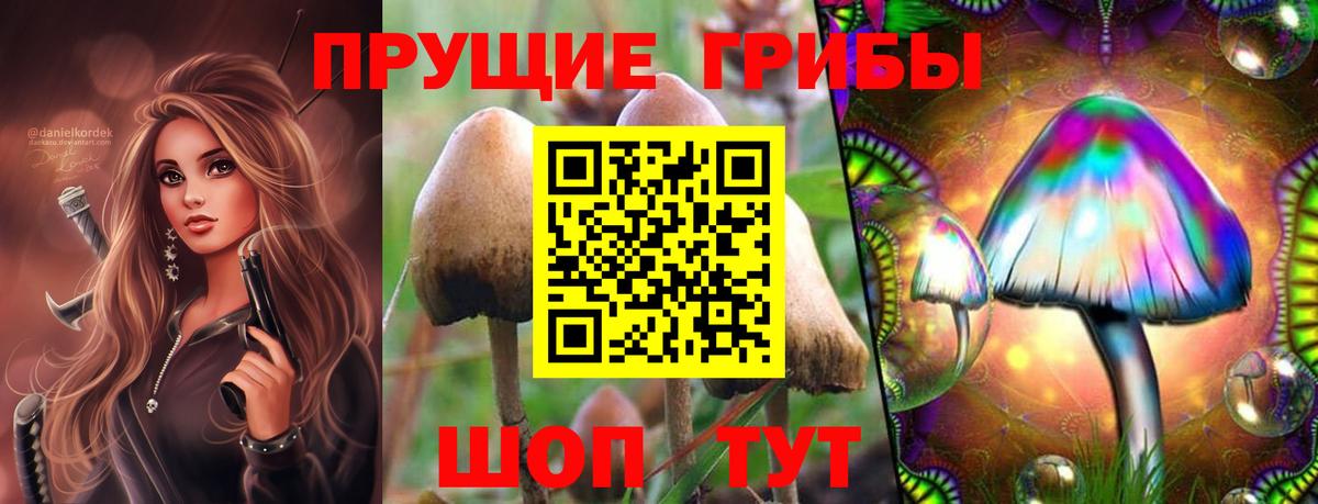 купить наркотики сайты  Галлюциногенные грибы мухоморы  Вход с VPN  Ирбит 