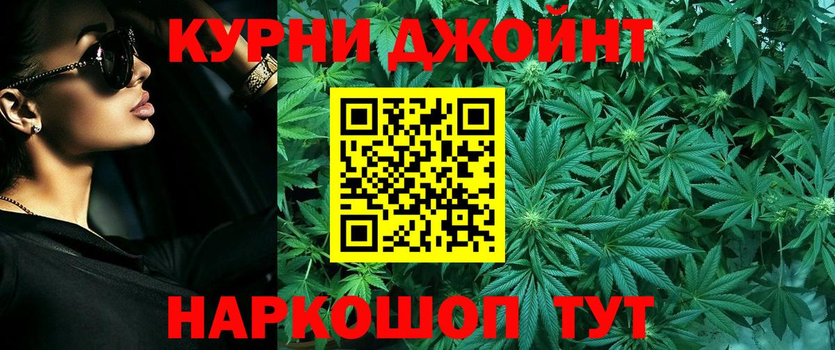 Бошки марихуана сатива  Вход с VPN  Каннабис планчик  Ирбит 